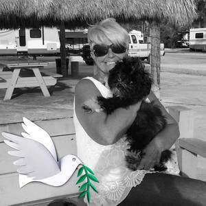 Meet your Posher, Sylvia